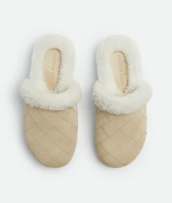 Reggie Slipper